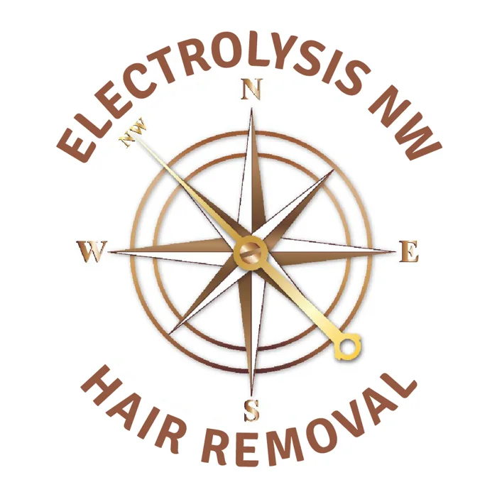 Electrolysis NW compass logo